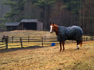 System stabilizacji padoków i obiektów dla koni